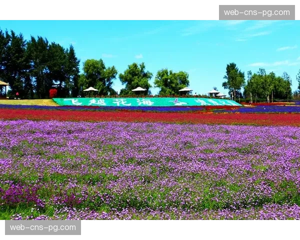 在普罗旺斯地区业余联赛决赛中，一支球队模仿尼斯队的五后卫阵型最终夺冠